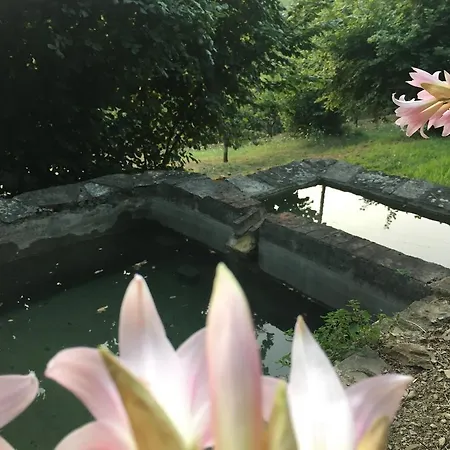招待所 Relax Nella Natura Bolano
