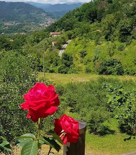 Pensjonat Relax Nella Natura